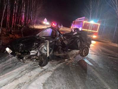 На Южном Урале автомобиль врезался в дерево. Водитель погиб