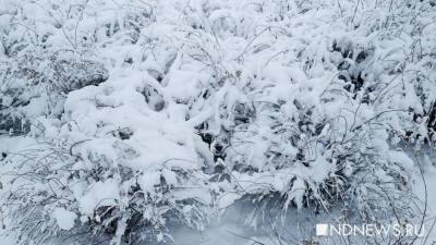 В католическое Рождество на Средний Урал придут сильные морозы и снегопад