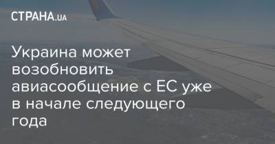 Украина может возобновить авиасообщение с ЕС уже в начале следующего года