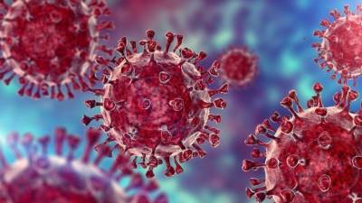В РАН раскрыли источник второй волны коронавируса в России