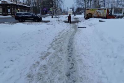 Службы Архангельска не справляются с последствиями ночного снегопада