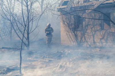 Глава МЧС связал природные пожары в этом году с режимом самоизоляции