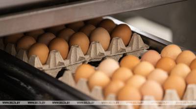 В Великобритании магазины снова ограничивают продажу яиц и туалетной бумаги