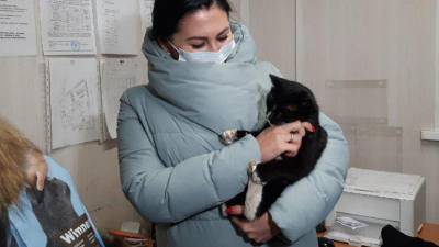 В Ульяновской области спасённый кот получил «должность» в министерстве