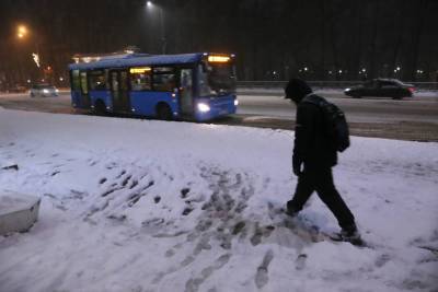 Администрация Архангельска обратила внимание на заваленные снегом тротуары