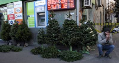 Департамент экологического надзора приступил к контролю елочных базаров в Тбилиси