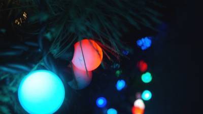 Неадекватные подростки в Ульяновске украли гирлянду с новогодней елки