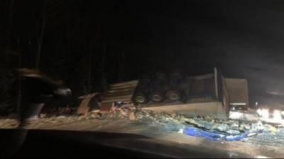 В ДТП в Тихвинском районе Ленобласти погиб водитель грузовика