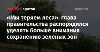 «Мы теряем леса»: глава правительства распорядился уделять больше внимания сохранению зеленых зон