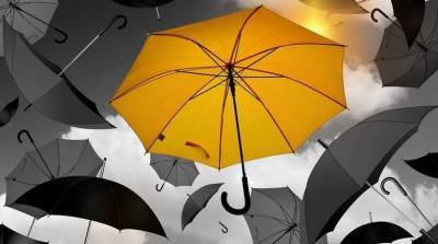 Стильные аксессуары: как выбрать модный зонт?
