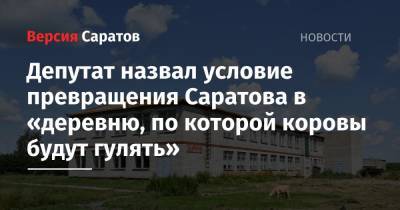 Депутат назвал условие превращения Саратова в «деревню, по которой коровы будут гулять»