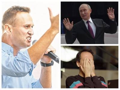 У Навального – расследование, а что у Кремля? Только лапки? Разбираемся