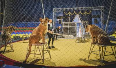 Из-за пандемии артисты в тюменском цирке вынуждены ждать выступлений 9 месяцев