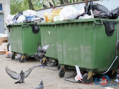 Миасские депутаты держат на контроле проблемы с бытовых мусором