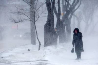 В Москве объявлен желтый уровень погодной опасности из-за ветра и снега
