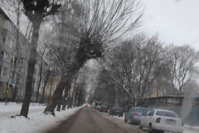 На улице Шевченко в Рязани просят убрать машины для сноса аварийного дерева
