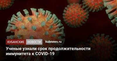 Ученые узнали срок продолжительности иммунитета к COVID-19