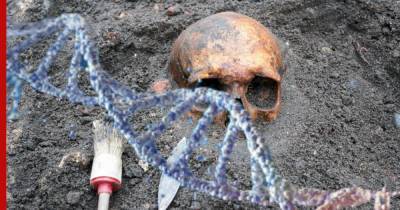 Археологи узнали тайну происхождения древних людей и нашли ошибку Колумба