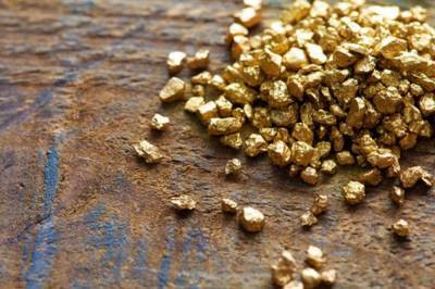 В Украине на аукционе за почти 6 млн грн продали первый участок с залежами золота
