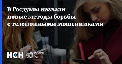 В Госдумы назвали новые методы борьбы с телефонными мошенниками - nsn.fm