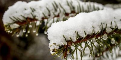 Погода в Украине ухудшится: синоптик прогнозирует мокрый снег, порывистый ветер и гололед
