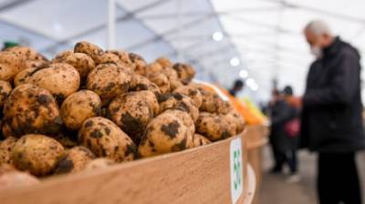 В России запретили продажу зеленой картошки и утиных яиц