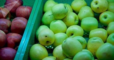 Грузинские фермеры заработали на продаже нестандартных яблок 11 млн лари