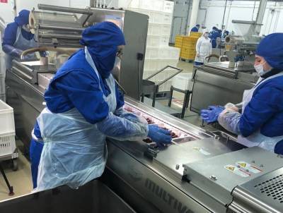 Липецкий завод по производству мясных деликатесов снижает издержки производства