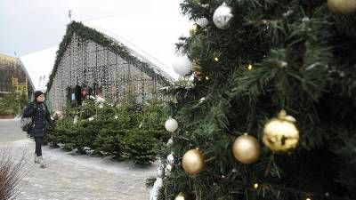 В Свердловской области объявили 31 декабря выходным днем