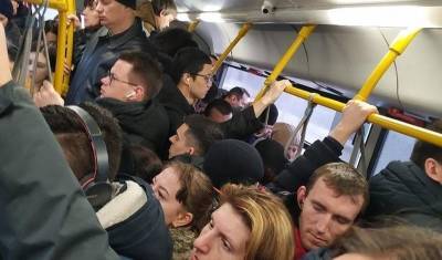 Коронавирус отдыхает: авиапассажиров в Домодедове битый час держали в автобусе