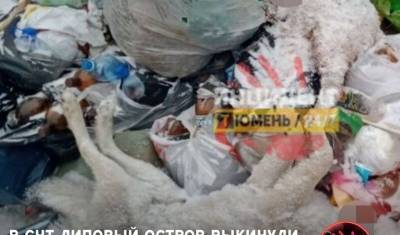 На помойку в тюменском СНТ подкинули двух мёртвых собак