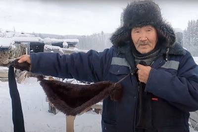 В Якутии коровам надевают меховые бюстгальтеры, видео