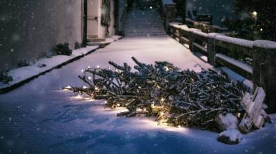 Улицу в центре Воронежа закроют на ночь для уборки снега