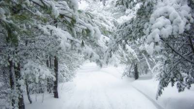 Воронежцев предупредили о надвигающихся сильных снегопадах