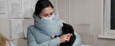 Спасенного в Ульяновске кота назначили замминистра природы региона