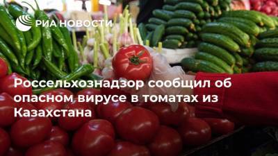Россельхознадзор сообщил об опасном вирусе в томатах из Казахстана