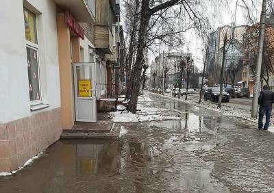 Работы по устранению «зеленого потопа» в центре Рязани завершены