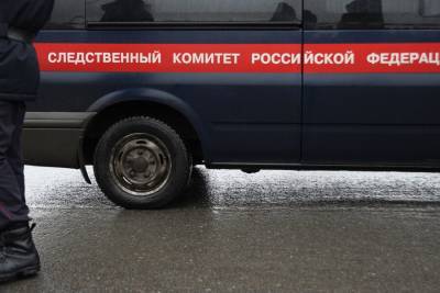 Дело об убийстве возбудили после обнаружения тела младенца в Егорьевске