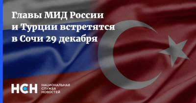 Главы МИД России и Турции встретятся в Сочи 29 декабря