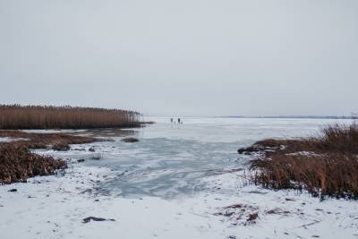 Тело утопленника вытащили из озера в Новосокольническом районе