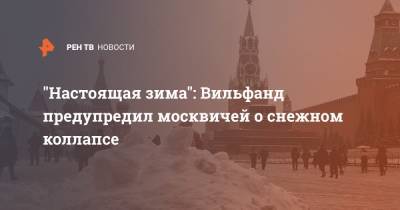 "Настоящая зима": Вильфанд предупредил москвичей о снежном коллапсе