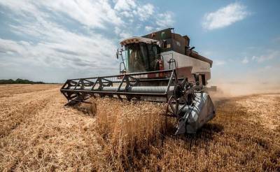 Россия вводит квоты на вывоз зерна. Узбекистан это не затронет, российский экспорт зерна в республику ничтожно мал – Торгпредство РФ