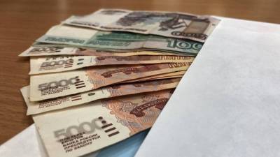 Депутат Госдумы поддержал идею выплаты тринадцатой зарплаты