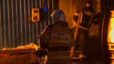 Крупный пожар в детском санатории в Ленобласти обошелся без жертв