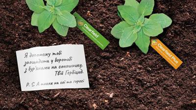 Пульс вашего урожая: как спасти подсолнухи от сорняков