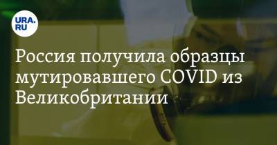 Россия получила образцы мутировавшего COVID из Великобритании