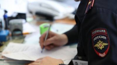 Полиция Москвы расследует третье за сутки нападение на Наталью