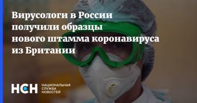 Вирусологи в России получили образцы нового штамма коронавируса из Британии