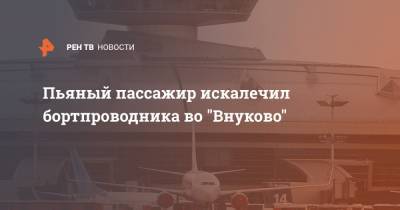 Пьяный пассажир искалечил бортпроводника во "Внуково"