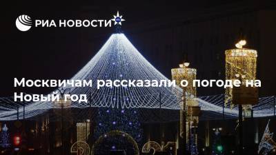 Москвичам рассказали о погоде на Новый год